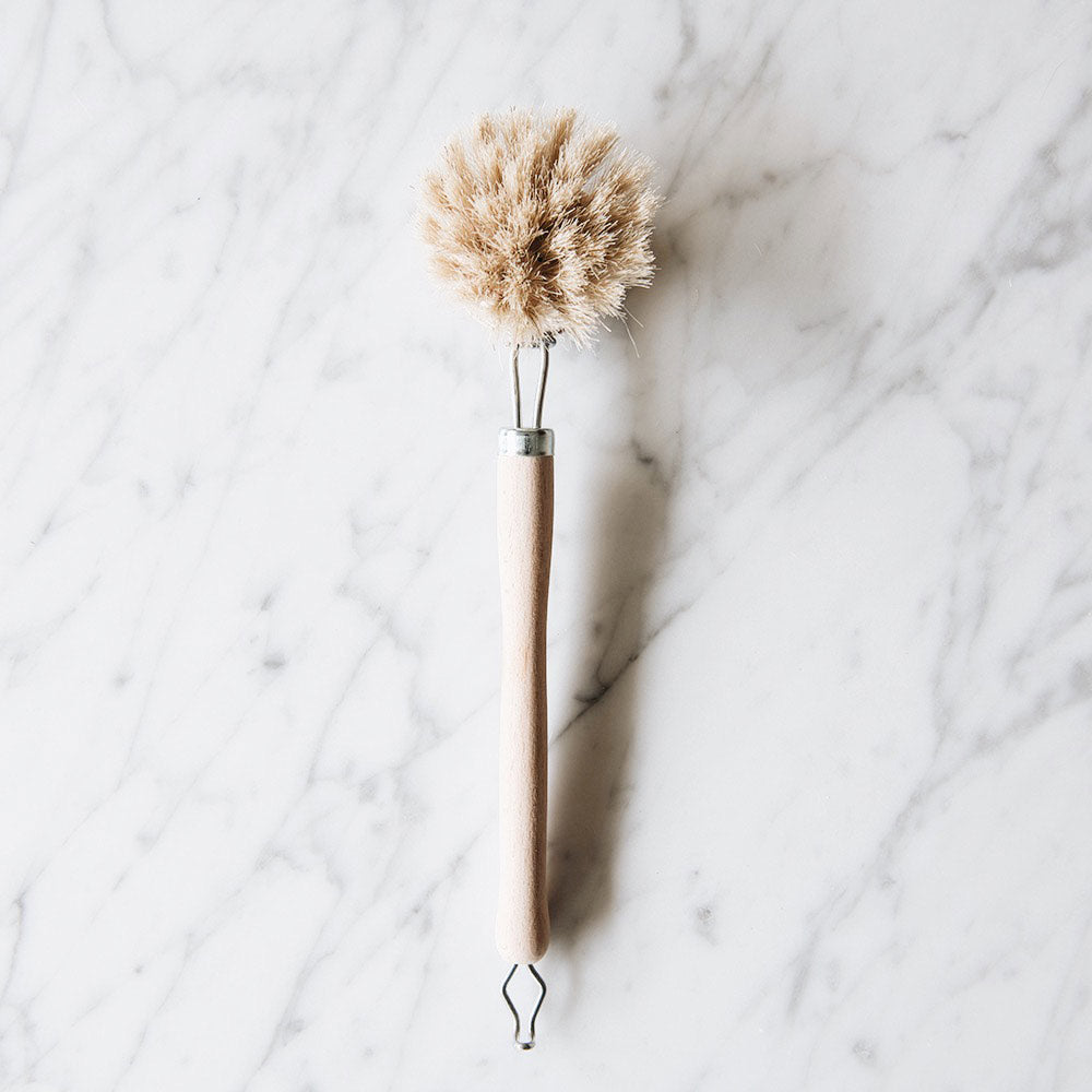 Clayndwhisk Daily Brush