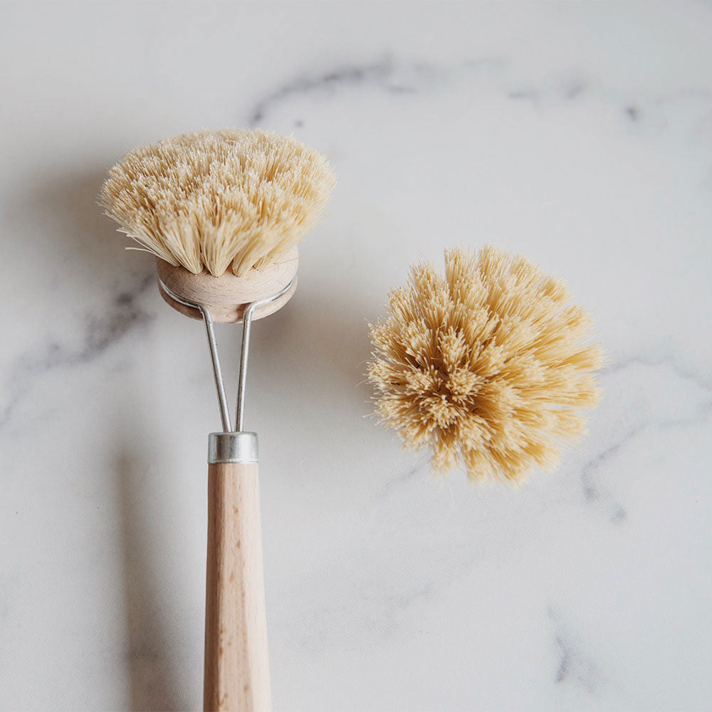 Clayndwhisk Stiff Brush