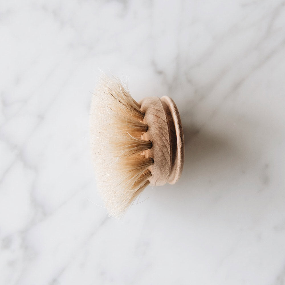 Clayndwhisk Daily Brush