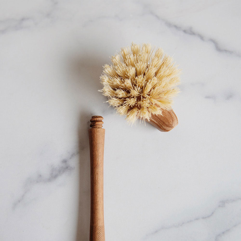 Clayndwhisk Stiff Dish Brush