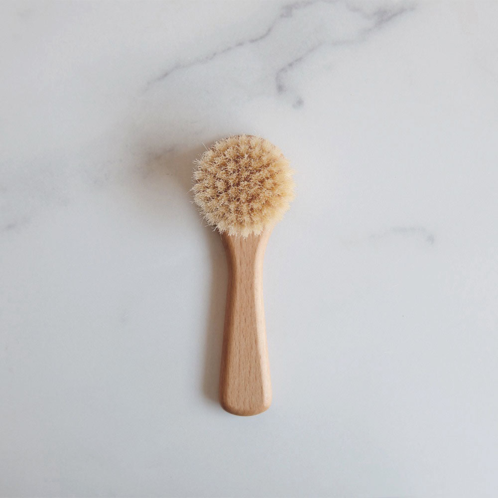 Clayndwhisk Mushroom Brush